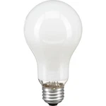 PH/212 Enlarger Lamp 150 W 115-125 V E26 Medium Base. Fixed Price $6.99.